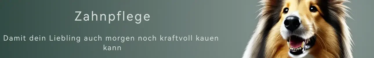 Zahnpflege für Hunde. Damit den Liebling auch morgen noch...