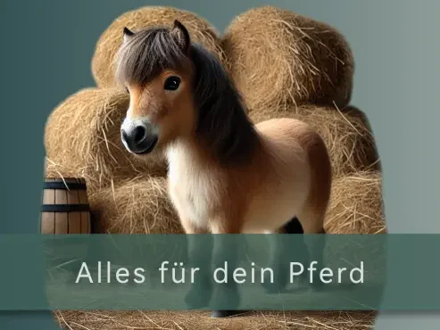 Hier gehts zum Besten für Dein Pferd