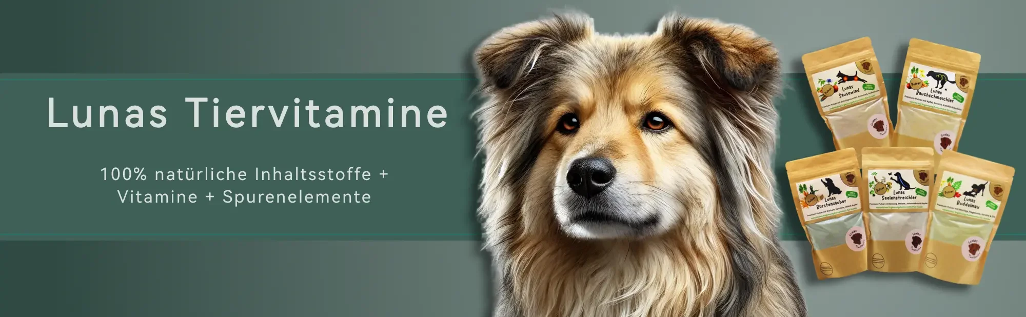 Ein Hund der vor Vitamine für Hunde sitzt