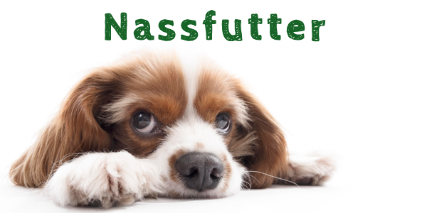 Zum Nassfutter für Hunde