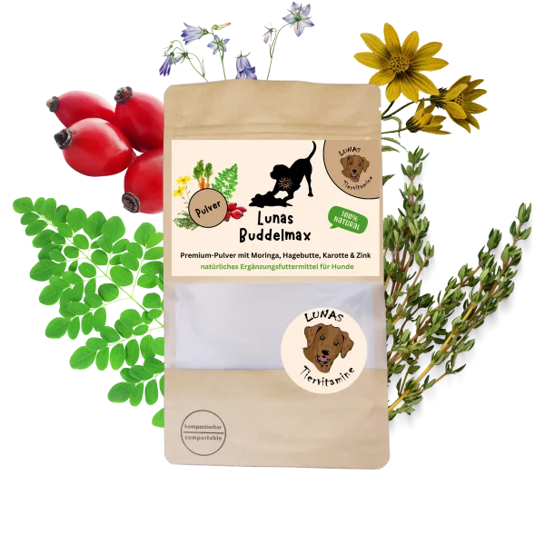 Lunas Buddelmax - mit Karotte, Moringa & Hagebutte 200g