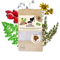 Lunas Buddelmax - mit Karotte, Moringa & Hagebutte 200g